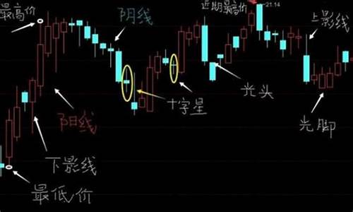 怎么炒股票新手入门(怎么炒股票新手入门炒股知识大全)_https://www.senxinmaoyi.com_物流单号_第1张