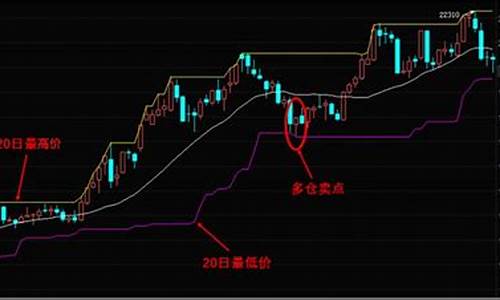 期货反海龟(期货反手交易规则)_https://www.senxinmaoyi.com_物流单号_第1张