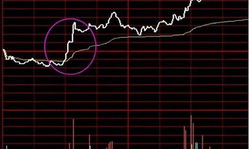 单一股票期货(单只股票期货)_https://www.senxinmaoyi.com_物流查询_第1张