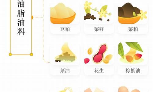 大品种期货(期货市场哪些品种是大品种)_https://www.senxinmaoyi.com_快递查询_第1张