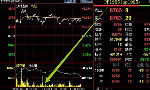 PP期货资料(pp期货是什么材料)_https://www.senxinmaoyi.com_快递查询_第1张