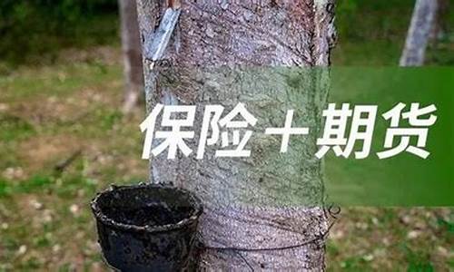 海南天然橡胶期货行情(海南天然橡胶期货行情最新消息)_https://www.senxinmaoyi.com_邮政编码_第1张