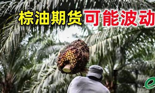 棕相油期货行情实时行请(棕榈油期货最新资讯)_https://www.senxinmaoyi.com_物流查询_第1张