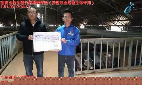 大连生猪期货行情网站(大连生猪期货介绍)_https://www.senxinmaoyi.com_物流查询_第1张
