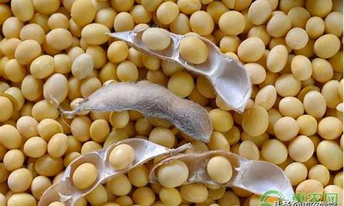 今日大豆油期货最新价格行情郑州(今日大豆油期货最新价格金投网)_https://www.senxinmaoyi.com_邮政编码_第1张