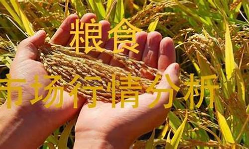 期货粮食市场行情分析报告(粮食期货交易市场)_https://www.senxinmaoyi.com_物流单号_第1张