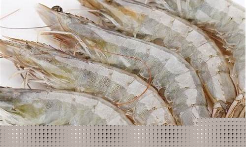 南美白虾期货价格行情走势(南美白对虾虾价)_https://www.senxinmaoyi.com_邮政编码_第1张