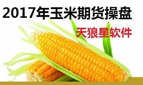 玉米期货行情分析回顾(玉米期货行情分析最新)_https://www.senxinmaoyi.com_快递查询_第1张