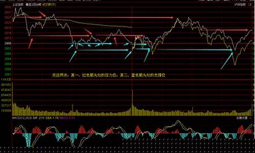 怎样建立自己的炒股模式视频_https://www.senxinmaoyi.com_快递查询_第1张