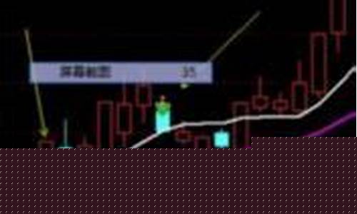 哪里找股票群(股票销售额从哪里找)_https://www.senxinmaoyi.com_物流查询_第1张