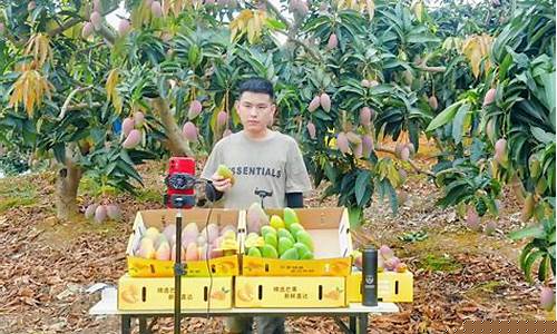 芒果直播室炒期货(芒果直播室炒期货是真的吗)_https://www.senxinmaoyi.com_邮政编码_第1张
