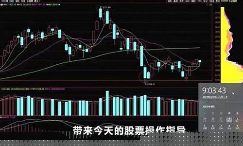 财经第一时间股市直播(每日财经要闻股市最新)_https://www.senxinmaoyi.com_物流查询_第1张