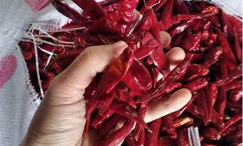 牡丹国际辣椒期货直播间(牡丹国际期货怎么样)_https://www.senxinmaoyi.com_物流单号_第1张