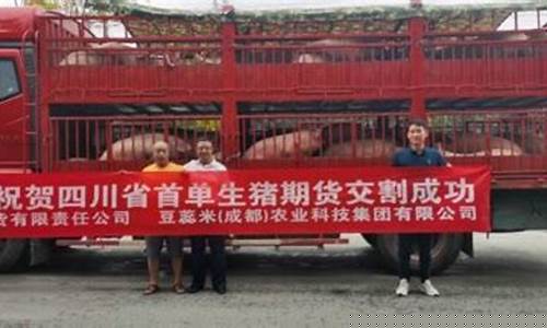 生猪期货实盘在线直播(生猪期货实时图)_https://www.senxinmaoyi.com_物流查询_第1张