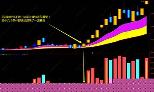 股市直播强庄团(股市强哥直播)_快递查询_第1张_快递网 股市直播强庄团(股市强哥直播)_https://www.senxinmaoyi.com_快递查询_第1张
