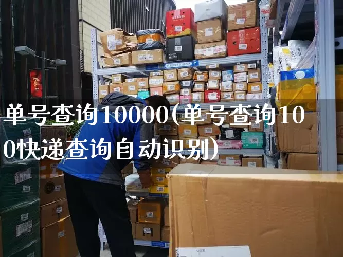 单号查询10000(单号查询100快递查询自动识别)_https://www.senxinmaoyi.com_物流查询_第1张