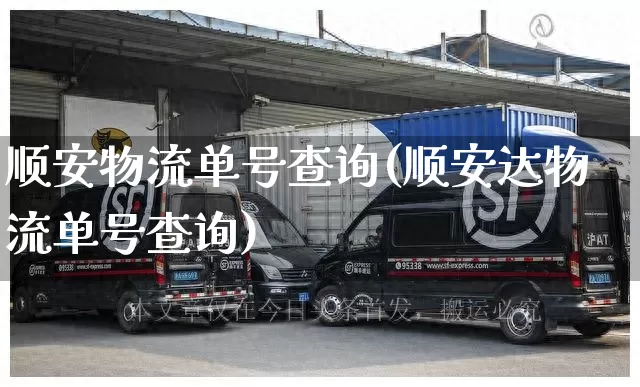 顺安物流单号查询(顺安达物流单号查询)_https://www.senxinmaoyi.com_物流查询_第1张
