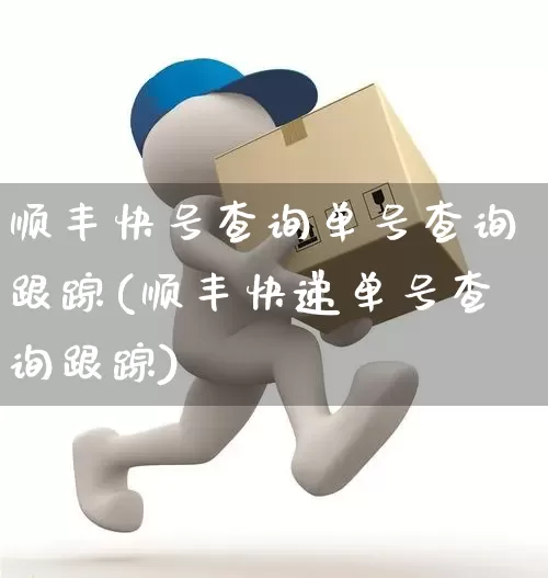顺丰快号查询单号查询跟踪(顺丰快递单号查询跟踪)_https://www.senxinmaoyi.com_物流单号_第1张