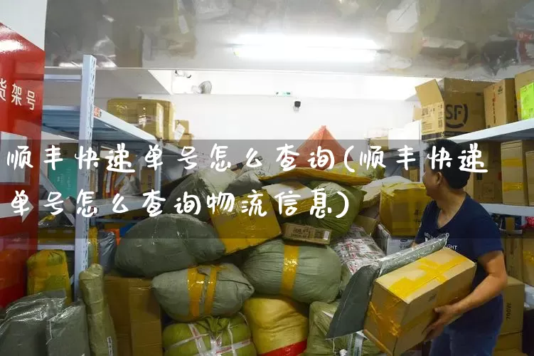 顺丰快递单号怎么查询(顺丰快递单号怎么查询物流信息)_https://www.senxinmaoyi.com_物流查询_第1张