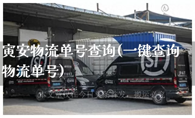 寅安物流单号查询(一键查询物流单号)_https://www.senxinmaoyi.com_物流单号_第1张