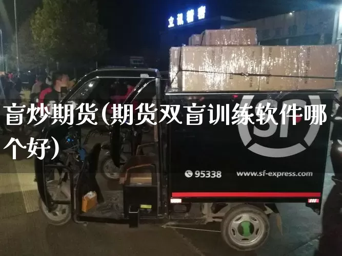 盲炒期货(期货双盲训练软件哪个好)_https://www.senxinmaoyi.com_物流单号_第1张