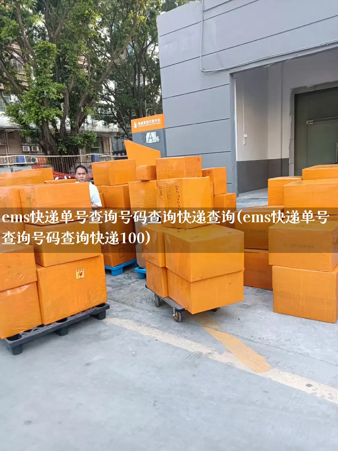 ems快递单号查询号码查询快递查询(ems快递单号查询号码查询快递100)_https://www.senxinmaoyi.com_邮政编码_第1张