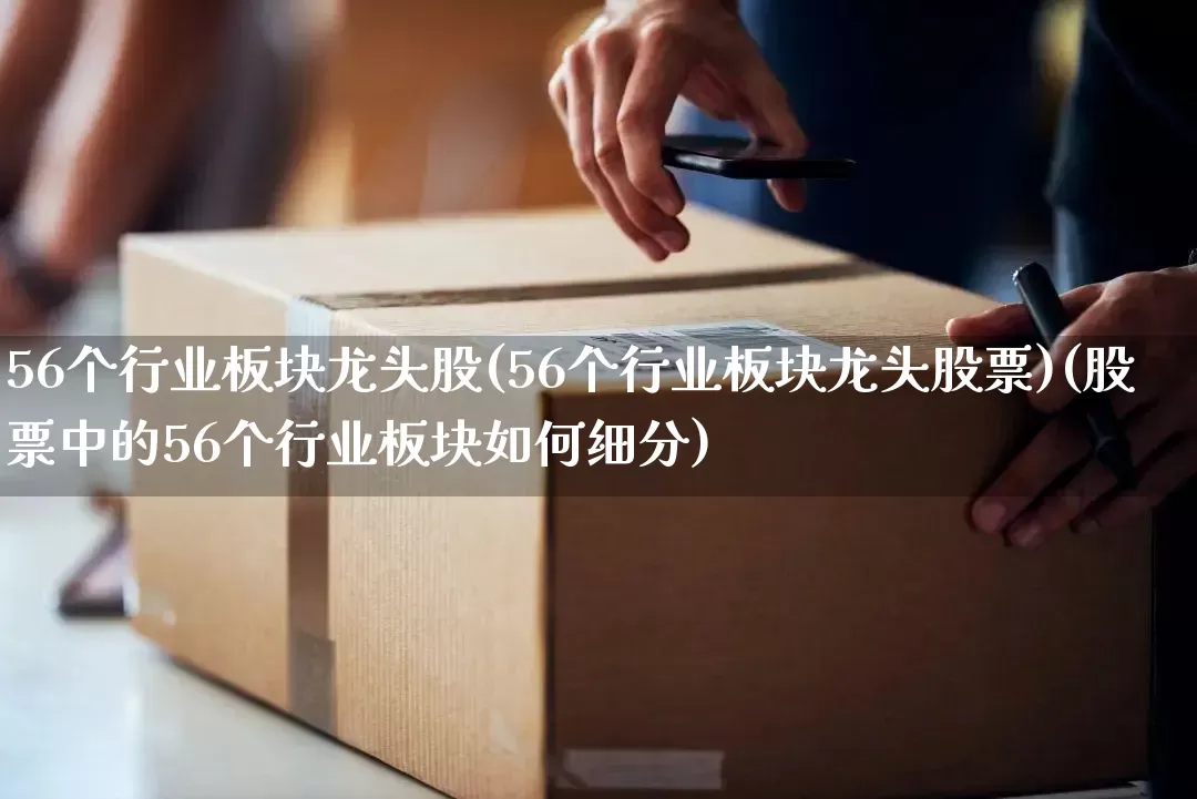 56个行业板块龙头股(56个行业板块龙头股票)(股票中的56个行业板块如何细分)_https://www.senxinmaoyi.com_物流单号_第1张