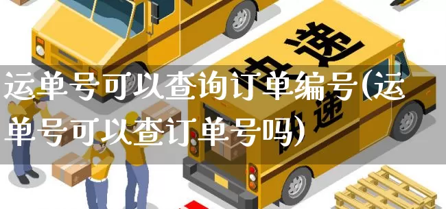 运单号可以查询订单编号(运单号可以查订单号吗)_https://www.senxinmaoyi.com_邮政编码_第1张
