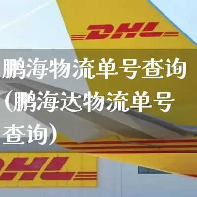 鹏海物流单号查询(鹏海达物流单号查询)_https://www.senxinmaoyi.com_邮政编码_第1张
