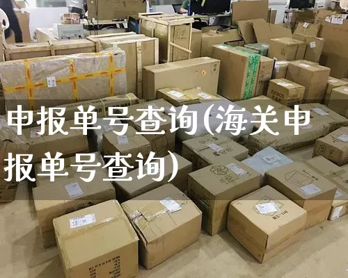 申报单号查询(海关申报单号查询)_https://www.senxinmaoyi.com_物流查询_第1张
