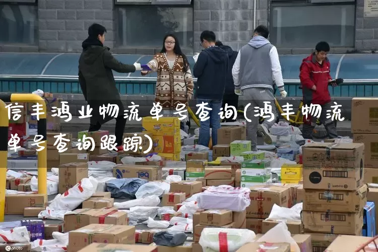 信丰鸿业物流单号查询(鸿丰物流单号查询跟踪)_https://www.senxinmaoyi.com_物流单号_第1张