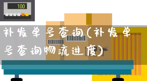 补发单号查询(补发单号查询物流进度)_https://www.senxinmaoyi.com_物流单号_第1张