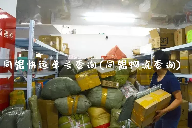 同盟快运单号查询(同盟物流查询)_https://www.senxinmaoyi.com_邮政编码_第1张