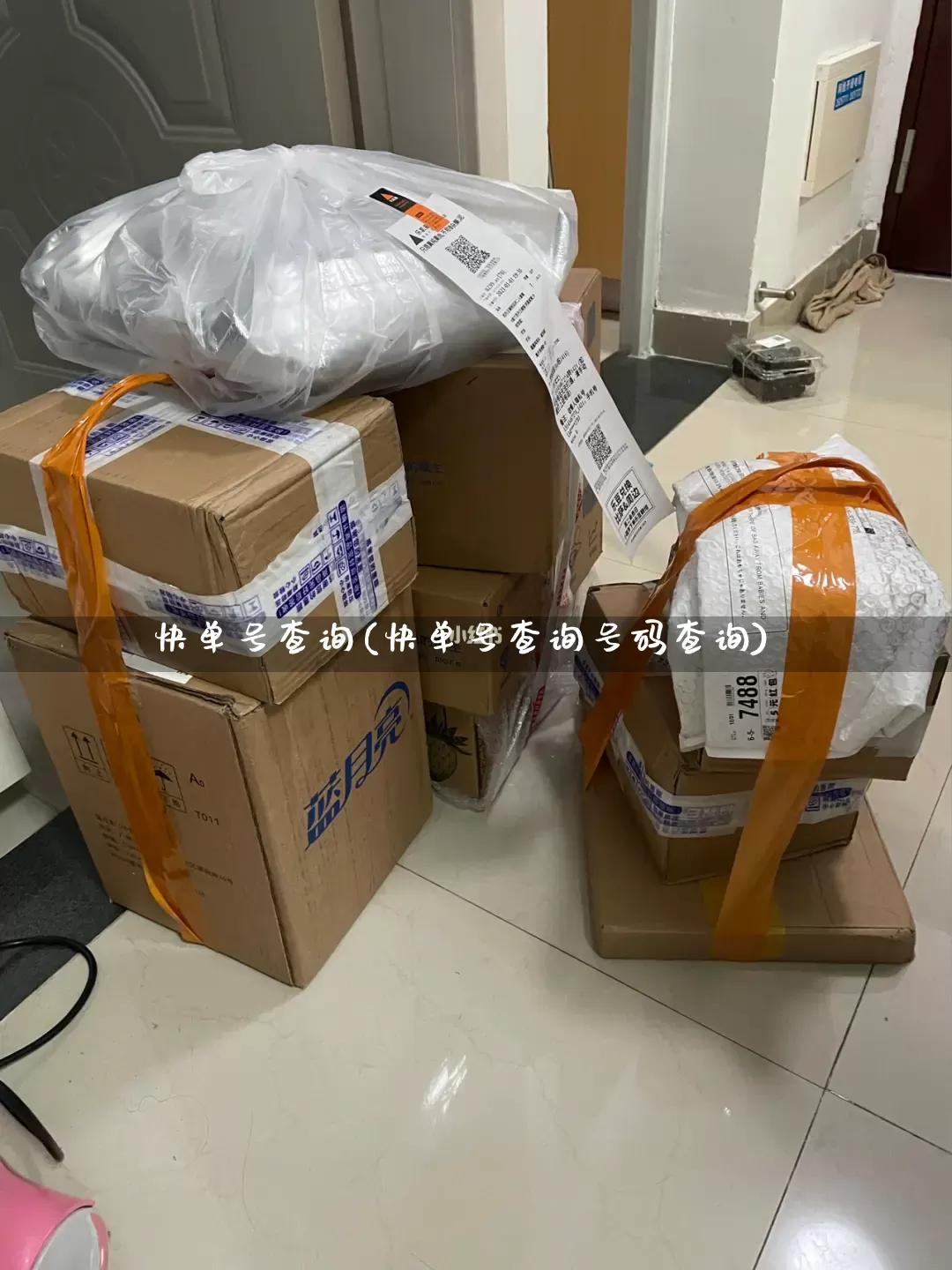 快单号查询(快单号查询号码查询)_https://www.senxinmaoyi.com_快递查询_第1张