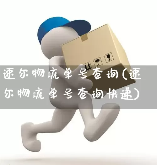 速尔物流单号查询(速尔物流单号查询快递)_https://www.senxinmaoyi.com_邮政编码_第1张