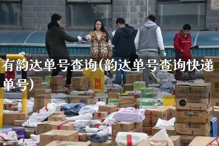 有韵达单号查询(韵达单号查询快递单号)_https://www.senxinmaoyi.com_物流单号_第1张
