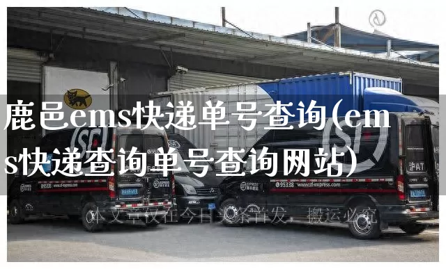 鹿邑ems快递单号查询(ems快递查询单号查询网站)_https://www.senxinmaoyi.com_物流单号_第1张