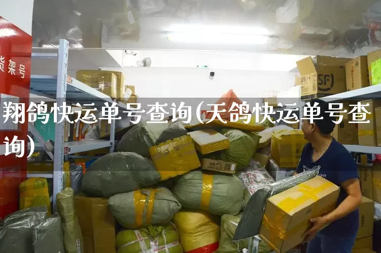 翔鸽快运单号查询(天鸽快运单号查询)_https://www.senxinmaoyi.com_快递查询_第1张