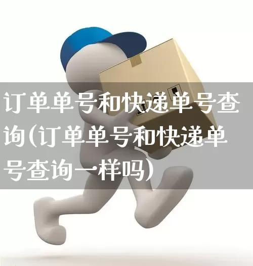 订单单号和快递单号查询(订单单号和快递单号查询一样吗)_https://www.senxinmaoyi.com_快递查询_第1张