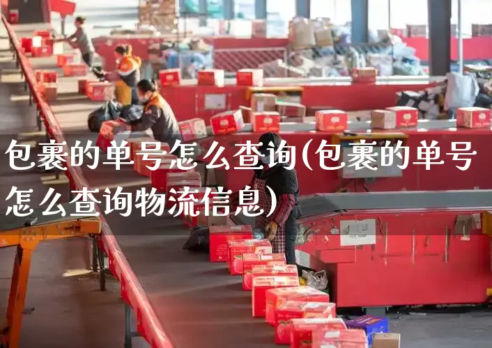 包裹的单号怎么查询(包裹的单号怎么查询物流信息)_https://www.senxinmaoyi.com_邮政编码_第1张