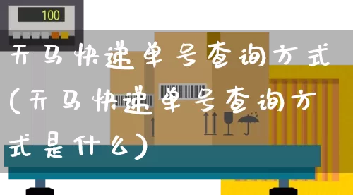 天马快递单号查询方式(天马快递单号查询方式是什么)_https://www.senxinmaoyi.com_物流单号_第1张