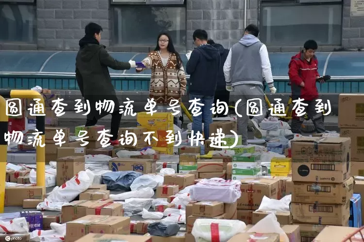 圆通查到物流单号查询(圆通查到物流单号查询不到快递)_https://www.senxinmaoyi.com_邮政编码_第1张