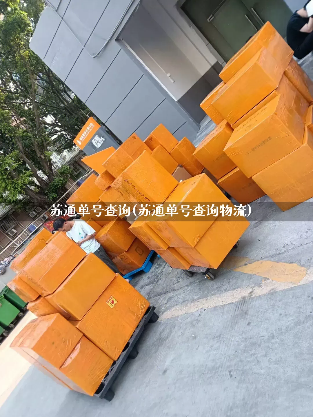 苏通单号查询(苏通单号查询物流)_https://www.senxinmaoyi.com_快递查询_第1张