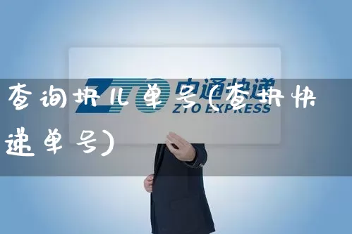 查询块儿单号(查块快递单号)_https://www.senxinmaoyi.com_快递查询_第1张