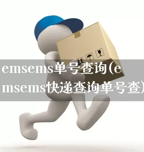 emsems单号查询(emsems快递查询单号查)_https://www.senxinmaoyi.com_物流查询_第1张