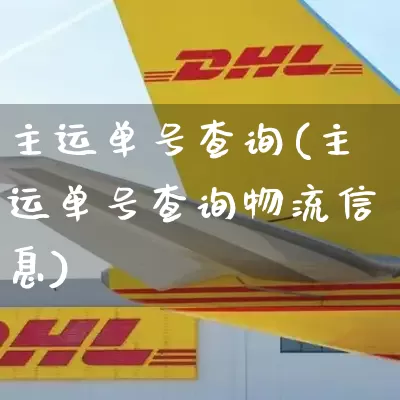 主运单号查询(主运单号查询物流信息)_https://www.senxinmaoyi.com_快递查询_第1张