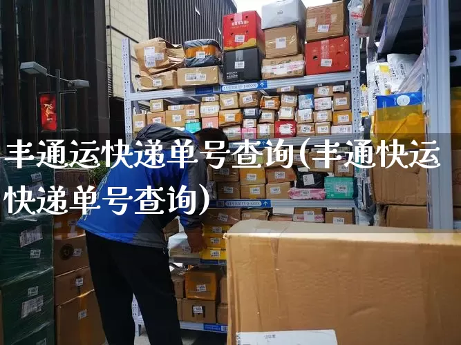 丰通运快递单号查询(丰通快运快递单号查询)_https://www.senxinmaoyi.com_物流单号_第1张
