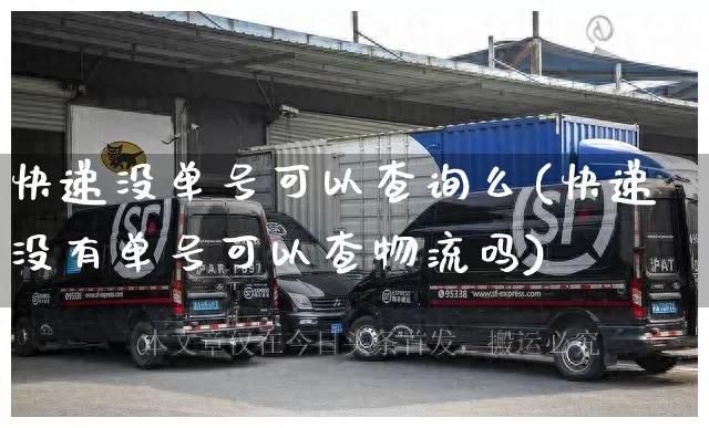 快递没单号可以查询么(快递没有单号可以查物流吗)_https://www.senxinmaoyi.com_物流查询_第1张