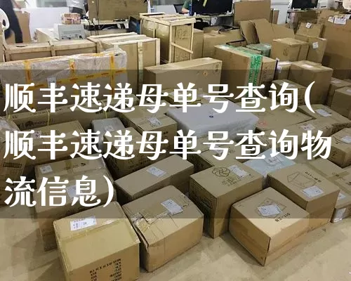 顺丰速递母单号查询(顺丰速递母单号查询物流信息)_https://www.senxinmaoyi.com_物流查询_第1张