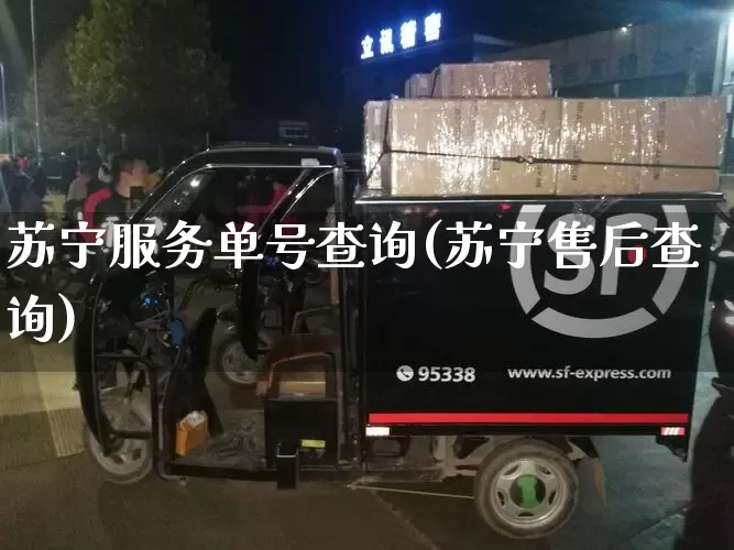苏宁服务单号查询(苏宁售后查询)_https://www.senxinmaoyi.com_物流单号_第1张